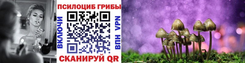 Галлюциногенные грибы ЛСД  Тосно 